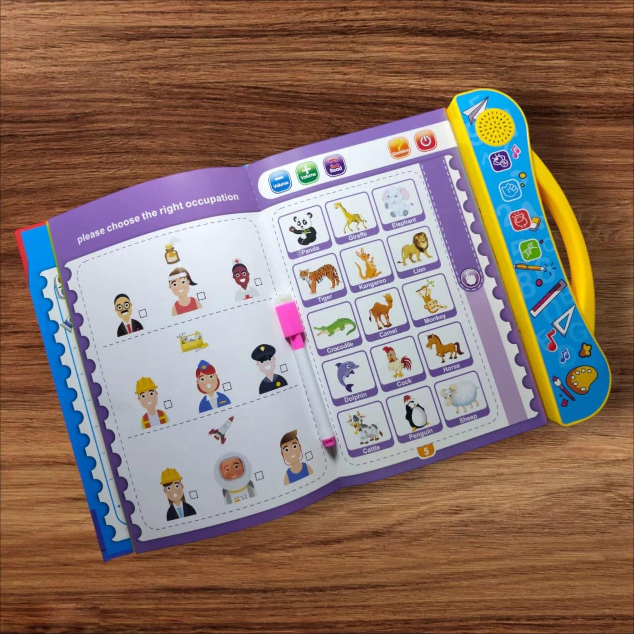 Study Book |  Learning English E-Book for Kids