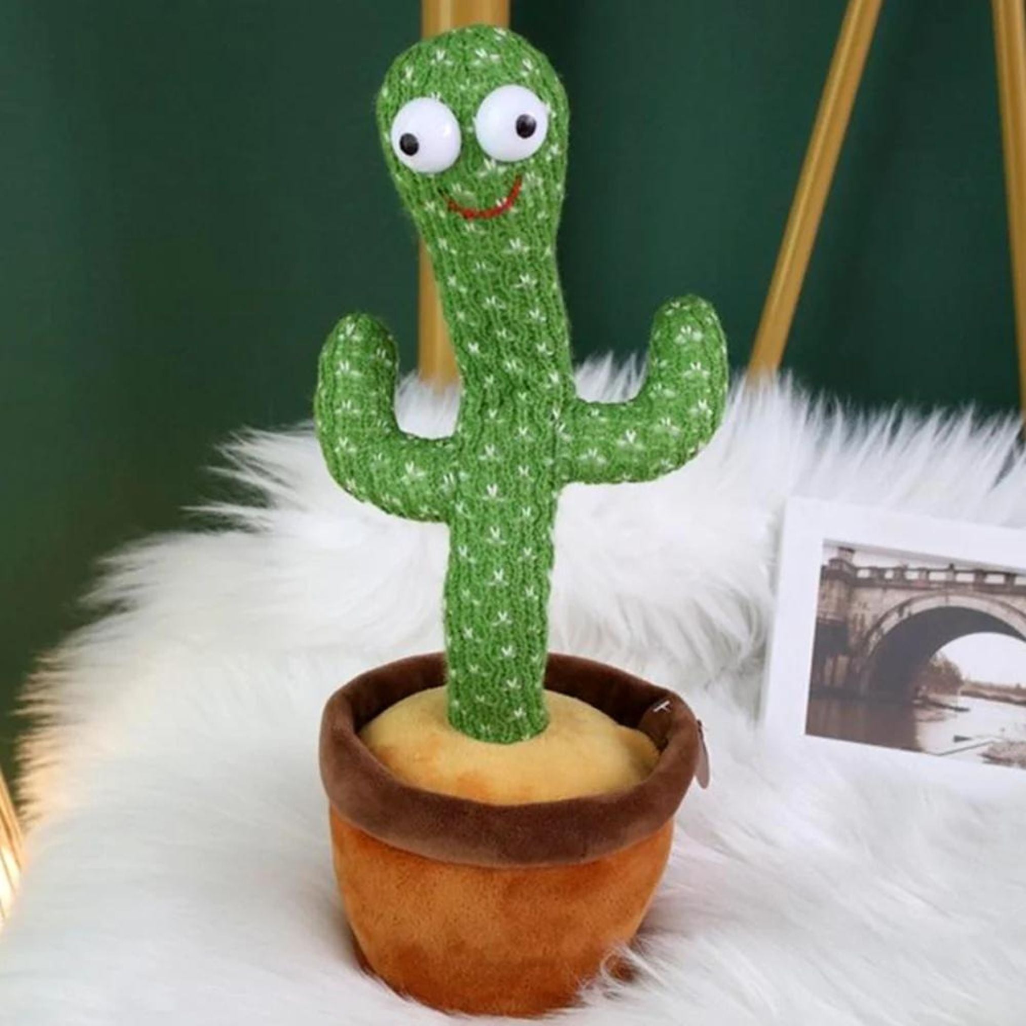 Dancing Funny Cactus