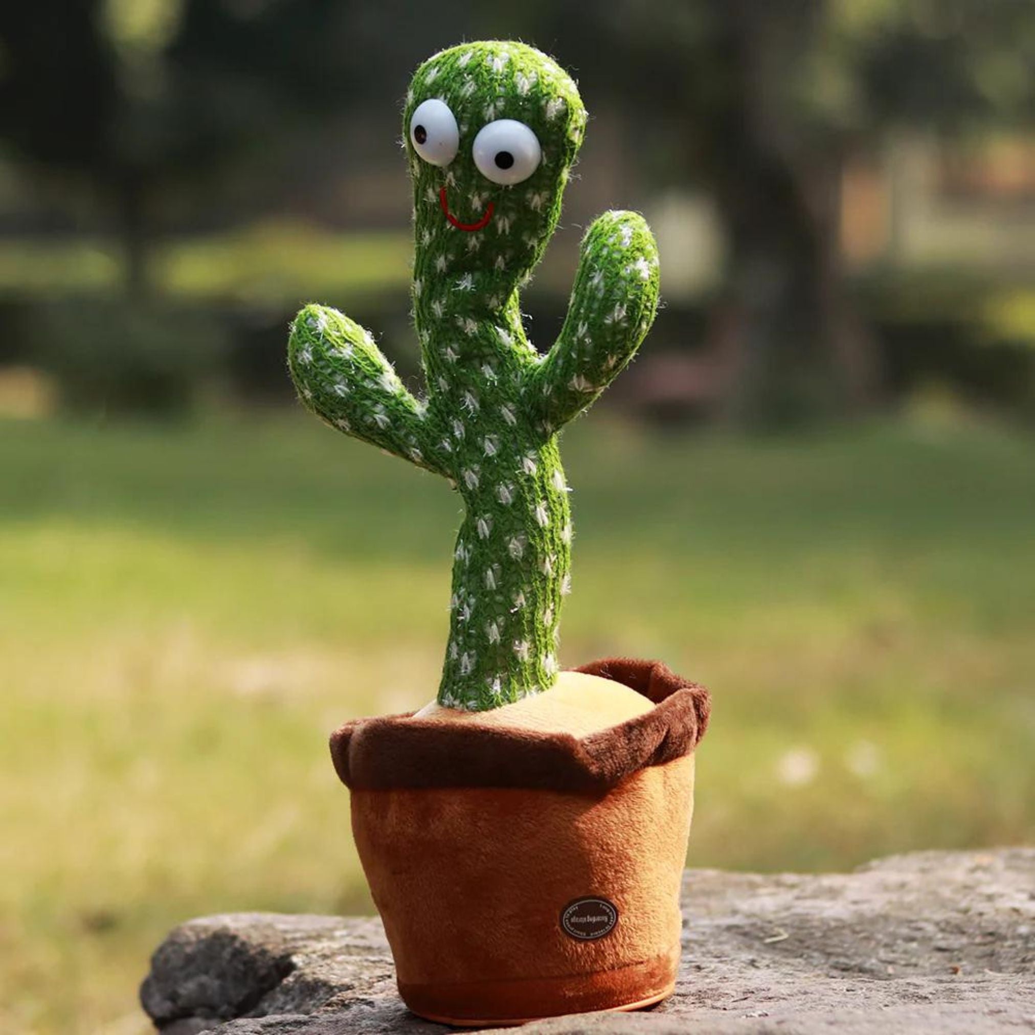 Dancing Funny Cactus